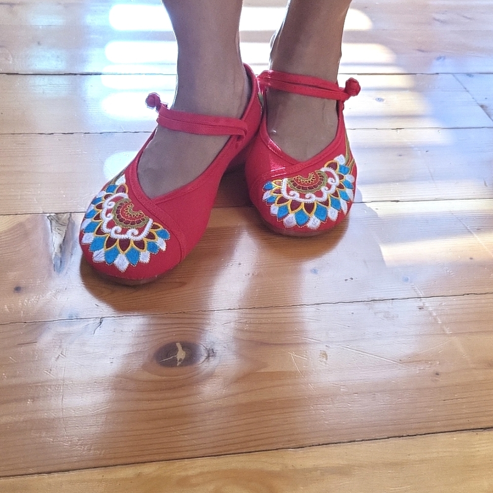 New Floral Flat Shoes Canvas Embroidered Mary Jane Ballernia Flats - Picture 16 of 16